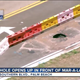 Screenshot via WPTV.